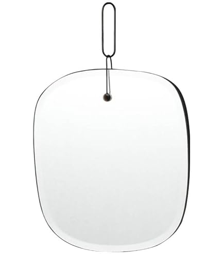 Amazon.co.jp: ダルトン(Dulton) 棚付き鏡 ステンレス スチール